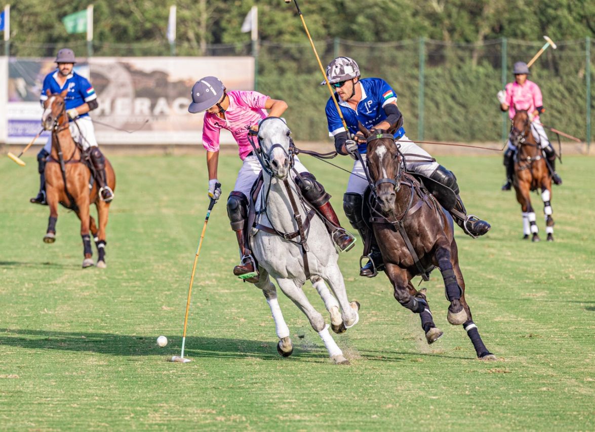 Assister Un Match De Polo